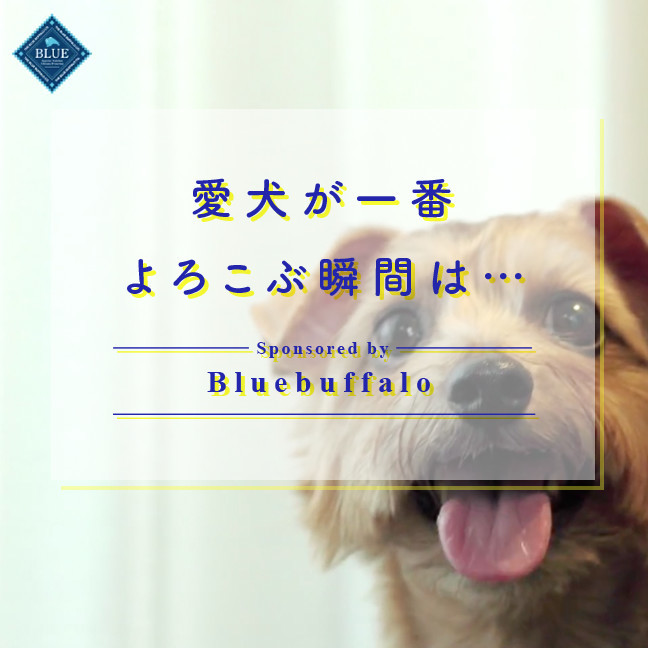Bluebuffalo BLUE 事例サムネイル