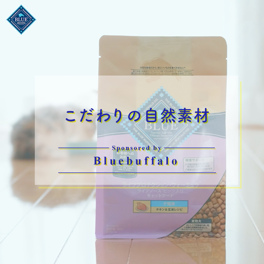 Bluebuffalo BLUE 事例サムネイル