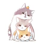 @riepoyonn